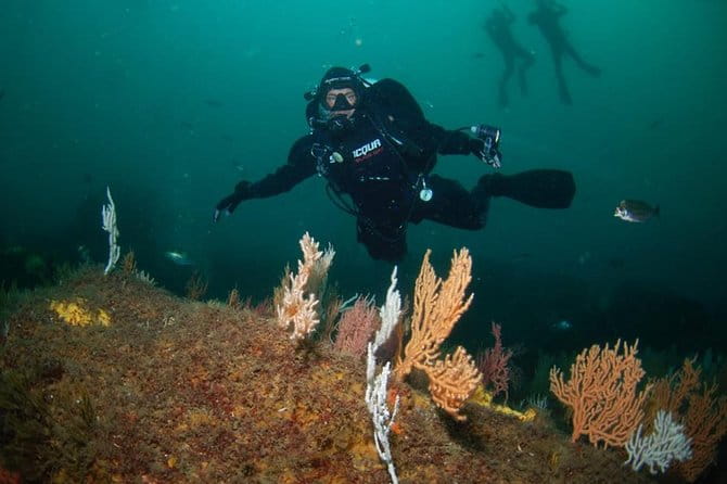 Double dive in the Algarve. Don't stop on the beach! - Introduction: What makes this Algarve diving tour special?