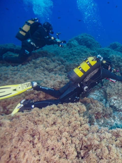 Double Dive the Azores, in the middle of the Atlantic Ocean - Key points / Takeaways