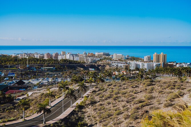 Double Tuk Tuk Tour in Costa Adeje - Inclusions
