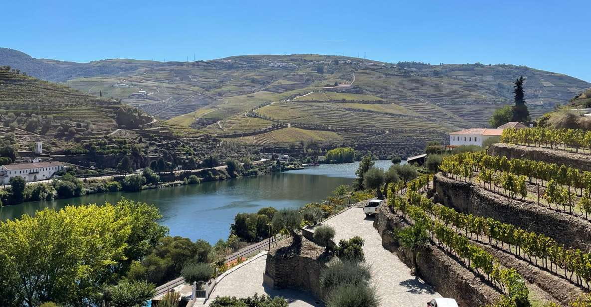 DOURO: FULL DAY DOURO VINEYARD TOUR MERCEDES V EXTENDED LENGTH - Frequently Asked Questions