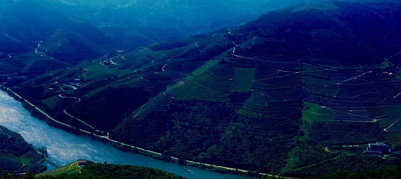 DOURO PREMIUM - Entering the Douro Valley: The Heart of Portugal’s Wine Country