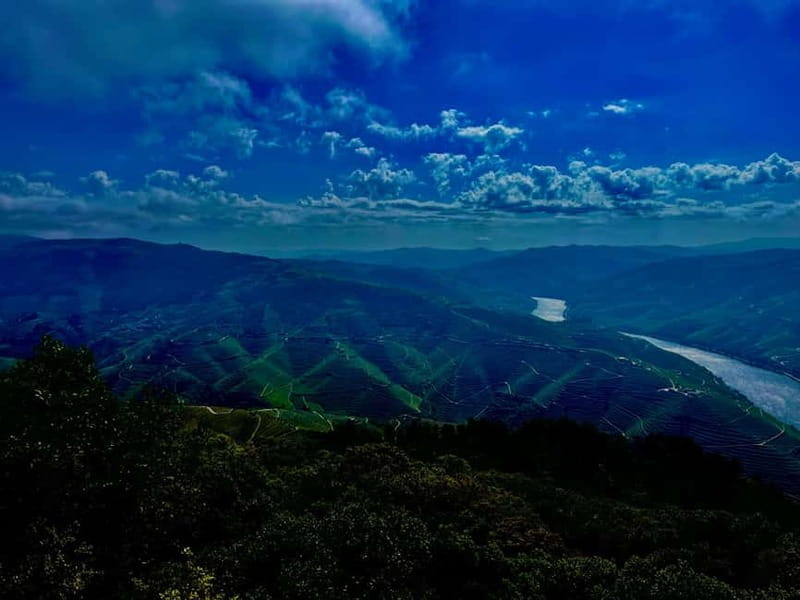 DOURO PREMIUM - Vineyard visits and wine tastings: The true soul of the region