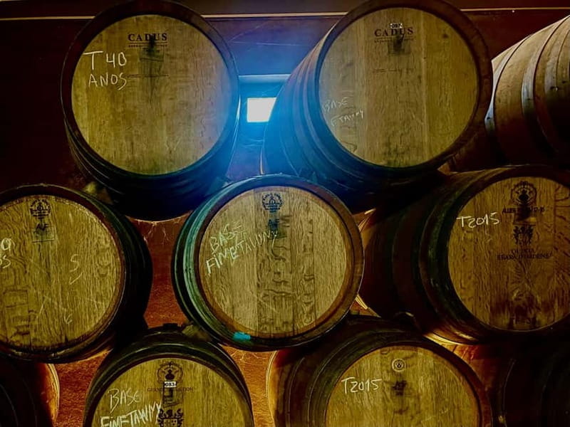 DOURO PREMIUM - Traditional Portuguese lunch in Pinhão