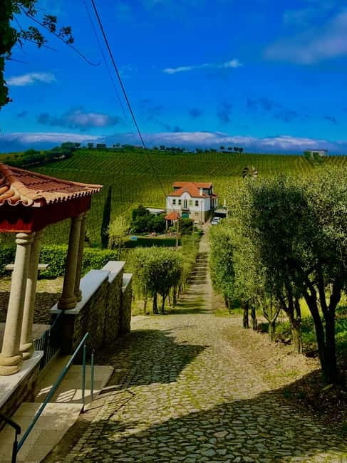 DOURO PREMIUM - End of the day: Vila Real and convenient drop-offs