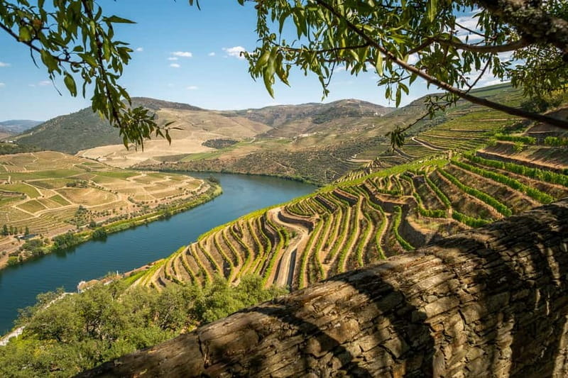 Douro Private Tour Customizable Experience - A Deep Dive into the Douro Private Tour Experience
