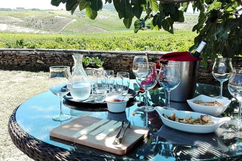 Douro Private Tour Customizable Experience - The Bottom Line: Is It Worth It?