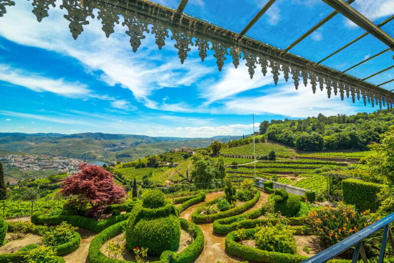 Douro: Quinta de Santa Júlia Lunch, Tour, & Wine Tasting - The Wine Tasting: A Personal, Flavorful Exploration