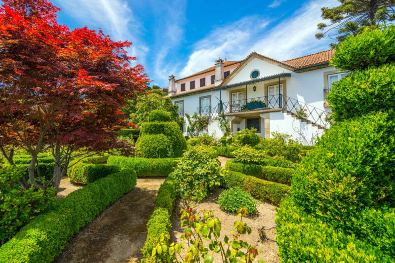 Douro: Quinta de Santa Júlia Lunch, Tour, & Wine Tasting - Practical Details: Transportation, Timing, and Group Size