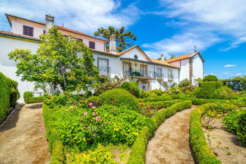 Douro: Quinta de Santa Júlia Lunch, Tour, & Wine Tasting - The Sum Up: The Authentic Douro Experience