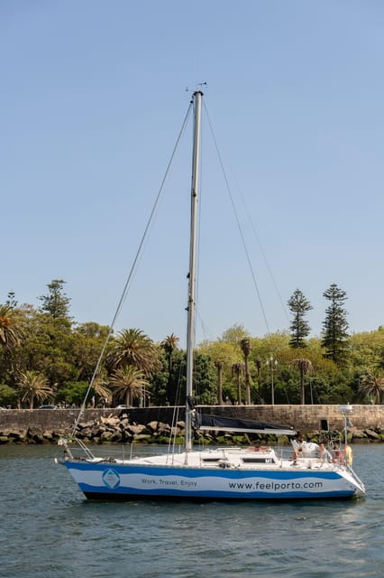 Douro River Cruise with Cheese & Tonic Porto in a Sailboat - Who Should Book This Experience?
