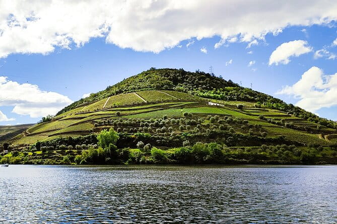 Douro | Roots & History - Tour with a local - Key Points / Takeaways