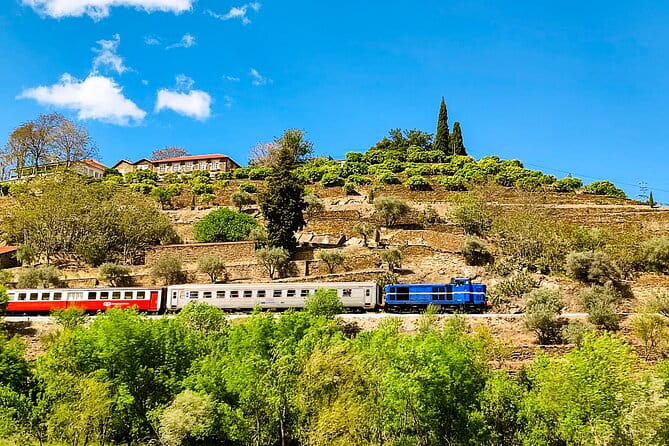 Douro | Roots & History - Tour with a local - FAQ