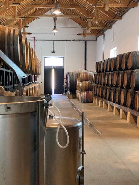 Douro - tour with train, walking, picnic and wines - Guided Visit to Quinta dos Murças & Wine Tasting