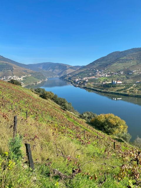 Douro - tour with train, walking, picnic and wines - Return Journey and Final Impressions