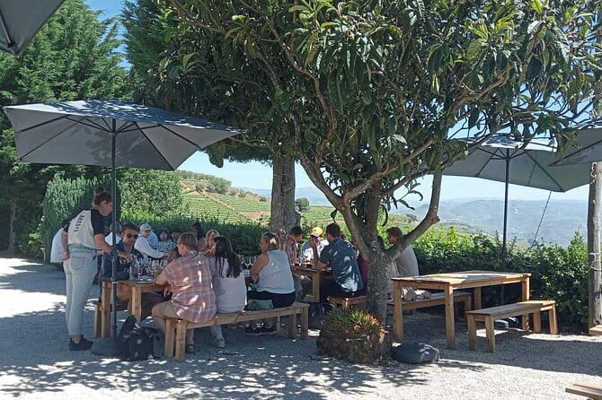 Douro Tour with Wine Tasting, River Cruise and Visit to Lamego - Final Thoughts