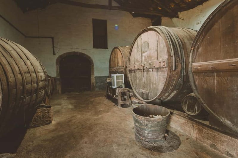 Douro: Traditional Harvest Lunch at Quinta de Sobre a Fonte - An Authentic Taste of Douros Vineyards and Culture