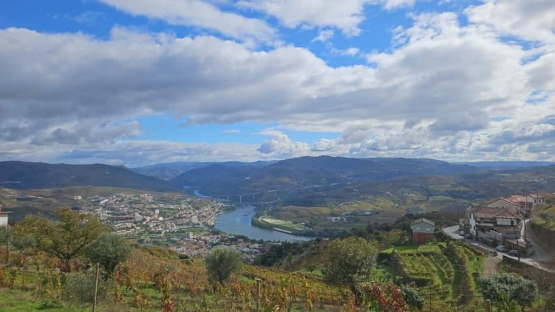 Douro: Traditional Harvest Lunch at Quinta de Sobre a Fonte - Final Thoughts