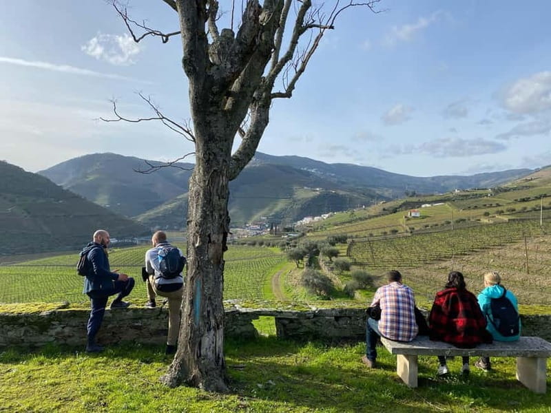 Douro valley: 10 km hike in the Valley - Midday Break and Picnic: A Relaxing Pause