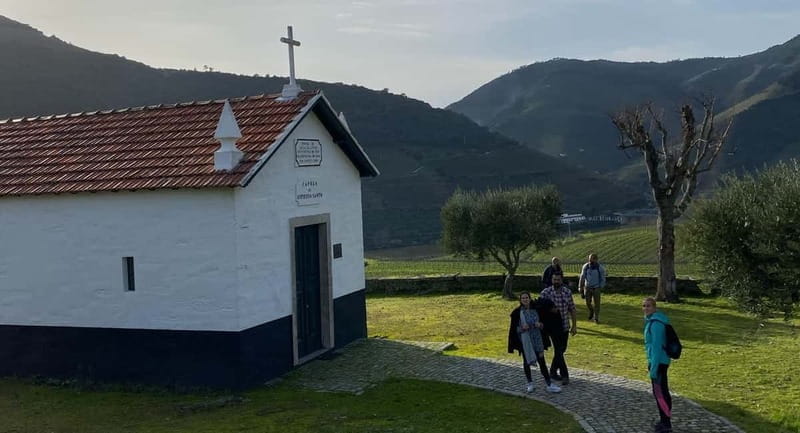 Douro valley: 10 km hike in the Valley - Who Will Love This Tour?