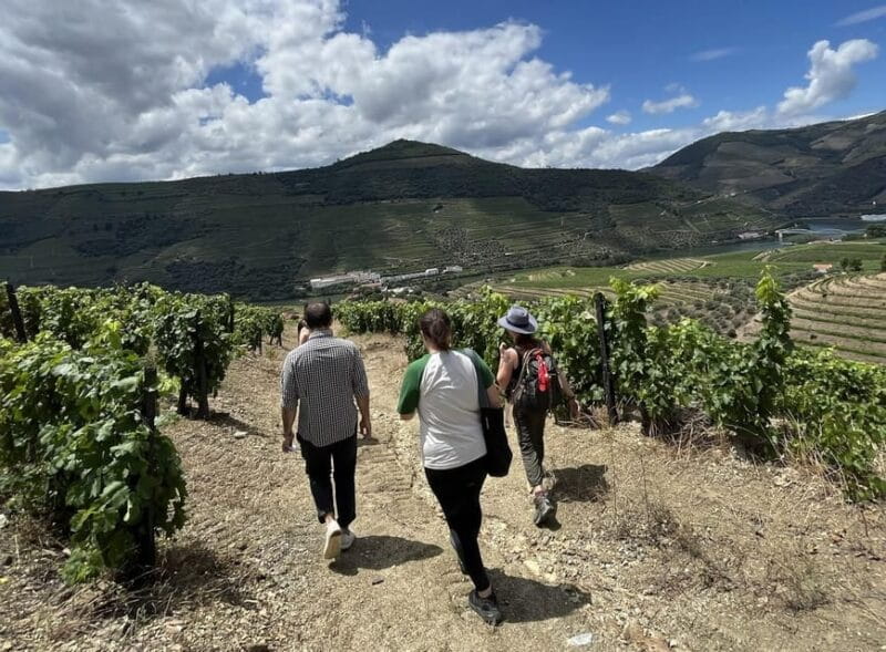 Douro valley: 10 km hike in the Valley - FAQ