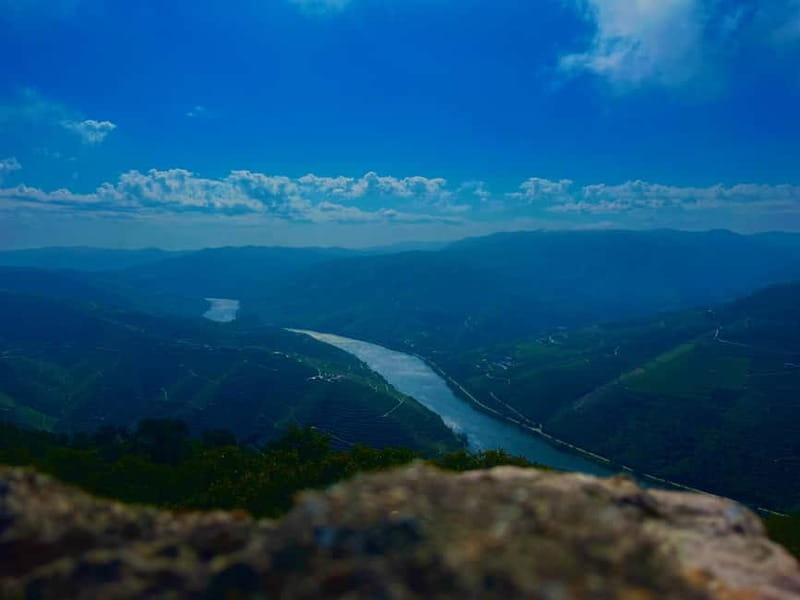 Douro Valley: A Day in Douro Valley Tasting The Best Wines - Final Thoughts