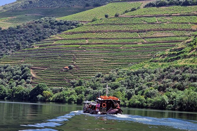 Douro Valley All Included: Expert Guide, Boat, Lunch, Tastings - Inclusions