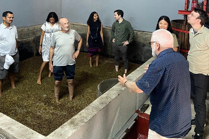 Douro Valley All Included: Expert Guide, Boat, Lunch, Tastings - Pickup and Drop-off