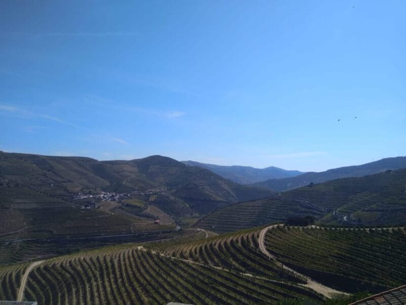 Douro Valley & Amarante - from Porto, Braga or Guimarães - A Deep Dive into the Douro Valley & Amarante Tour – What Makes It Special
