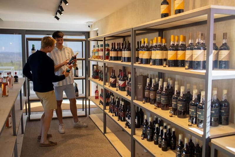 Douro Valley: Bottled VS Barrel Aged Port Wine - Key Points / Takeaways