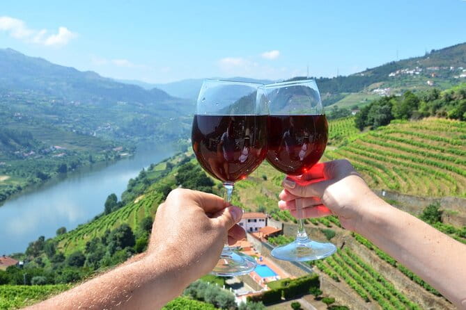Douro Valley Delights Wine Tasting and Scenic Vistas - Key points / Takeaways