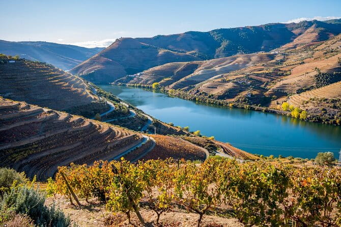 Douro Valley Delights Wine Tasting and Scenic Vistas - The Full Experience: An In-Depth Look at the Douro Valley Tour
