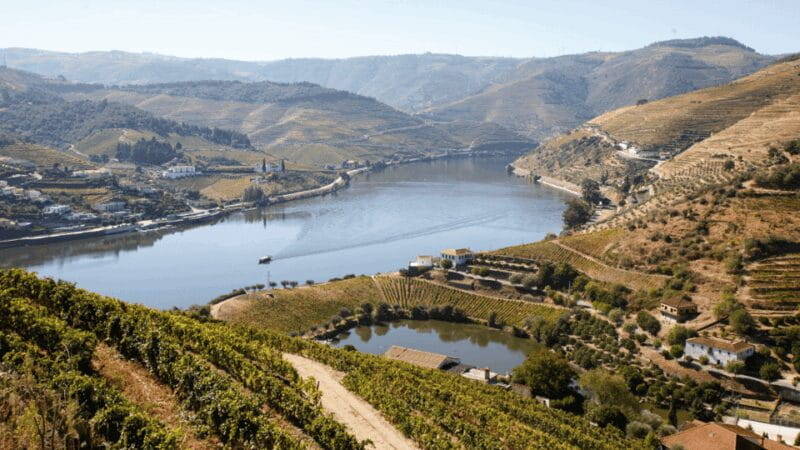 Douro Valley : Exclusive and Sustainable experience - Scenic Drive on Portugal’s Most Beautiful Road
