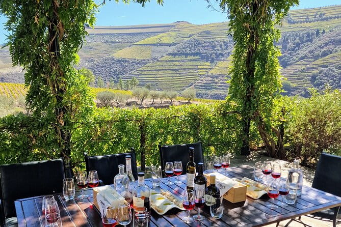 Douro Valley-Expert Guide-Boat-Lunch-Tastings Premium Service - In-Depth Review of the Douro Valley Premium Tour