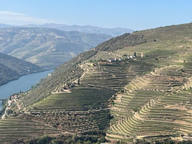 Douro Valley-Expert Guide-Boat-Lunch-Tastings PremiumService - Price and Value Consideration