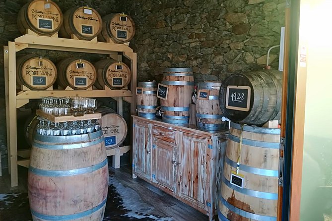Douro Valley: Food and Wine Small Group Tour From Porto - Visiting the Wineries