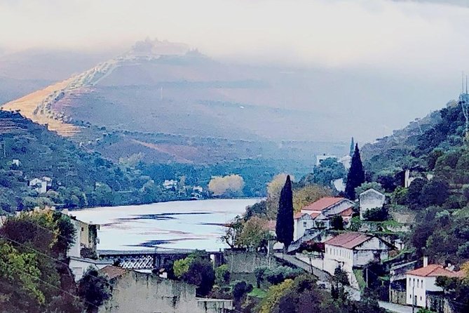 Douro Valley: Food and Wine Small Group Tour From Porto - Douro River Cruise