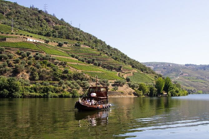Douro Valley Full Day Tour with River Cruise and Wine Tastings - Introduction: Exploring the Beauty and Flavors of the Douro Valley
