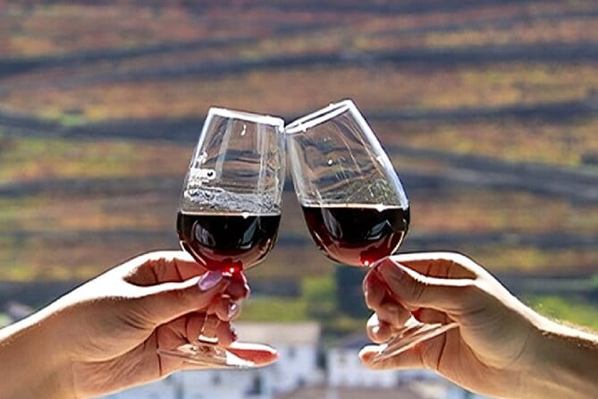 Douro Valley Full Day Tour with River Cruise and Wine Tastings - The Douro Valley: UNESCO’s Crown Jewel