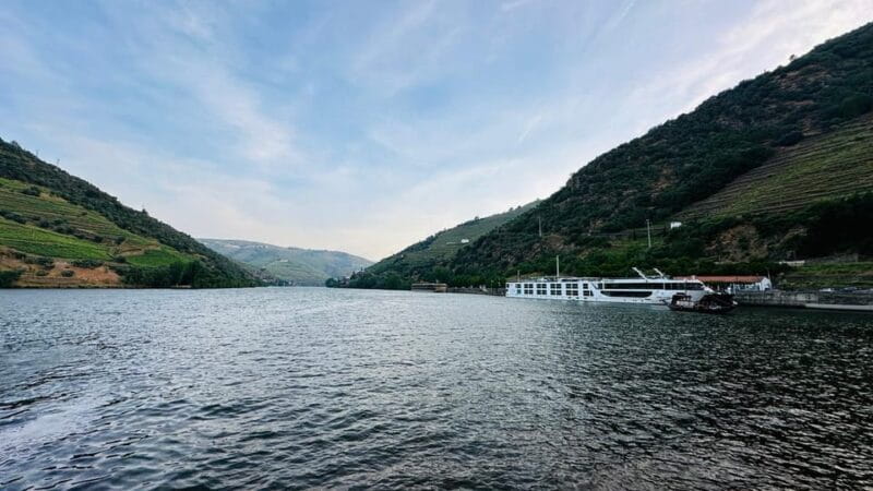 Douro Valley Journey: 4 Cities and Wine Estate All-Included - An in-depth look at the Douro Valley Journey