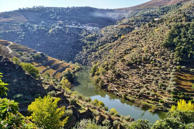 Douro Valley Prime Tour: Wine Tasting, Boat and Lunch From Porto - Meeting Information