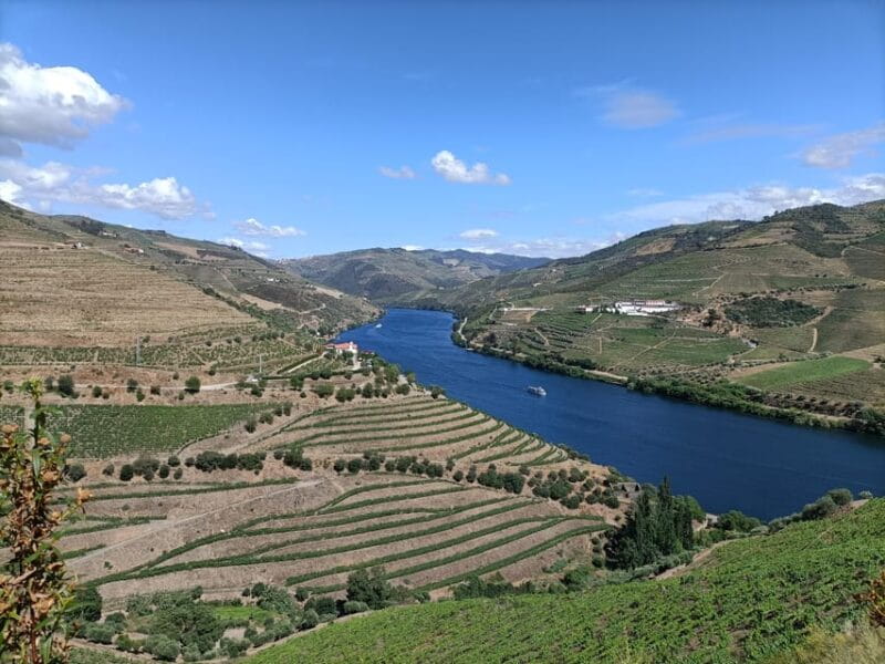 Douro Valley: Private Sommelier Tour with 3 Wineries & Lunch - Key Points / Takeaways