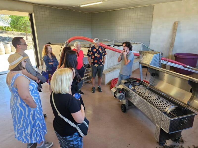 Douro Valley: Private Sommelier Tour with 3 Wineries & Lunch - Final Thoughts: Is It Worth It?