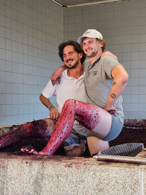 Douro Valley: Private Sommelier Tour with 3 Wineries & Lunch - FAQ