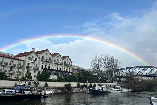 Douro Valley private tour full day - A Deep Dive into the Douro Valley Private Tour from Porto