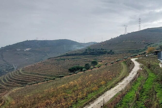 Douro Valley private tour full day - FAQ