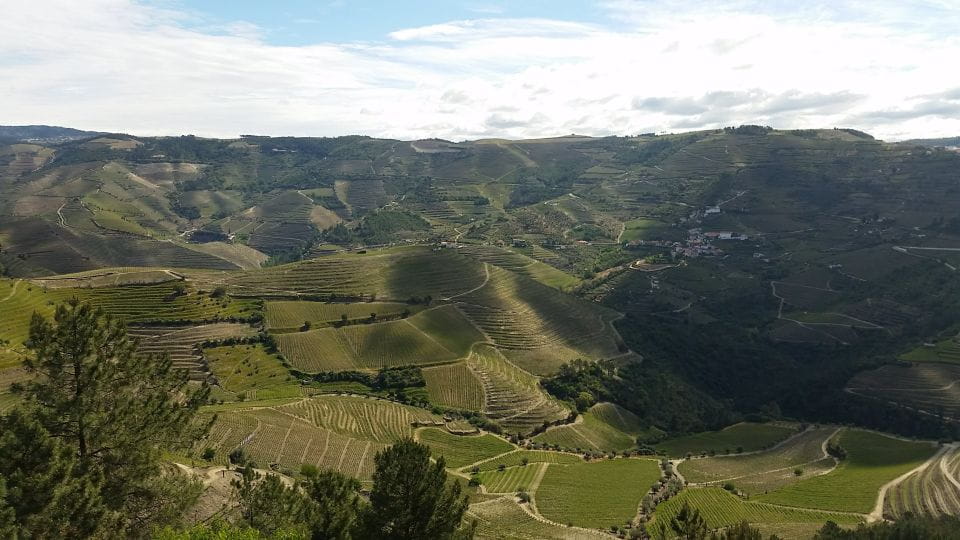 Douro Valley Private Tour - Highlights of the Tour