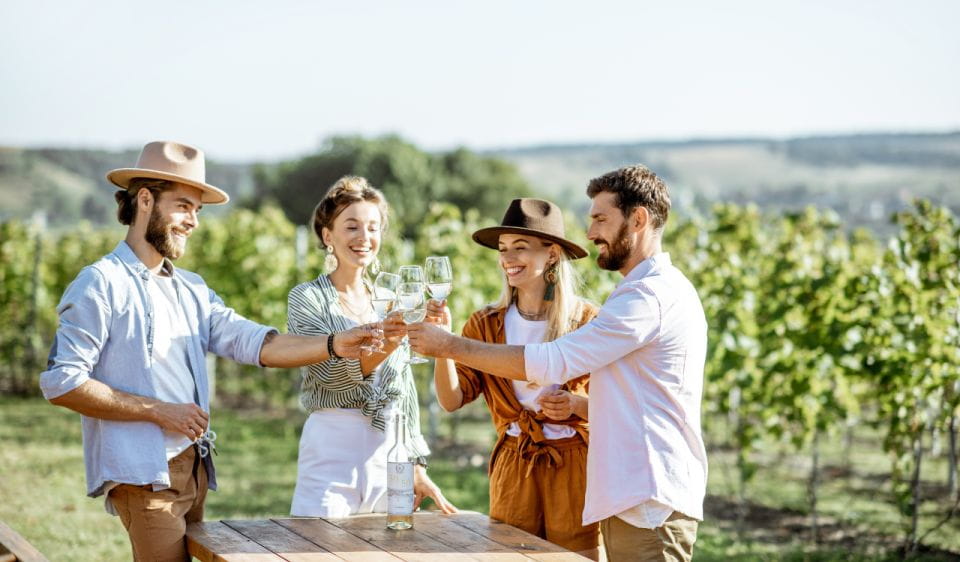 Douro Valley Private Tour With 2 Wine Tastings - Guided Winery Tours