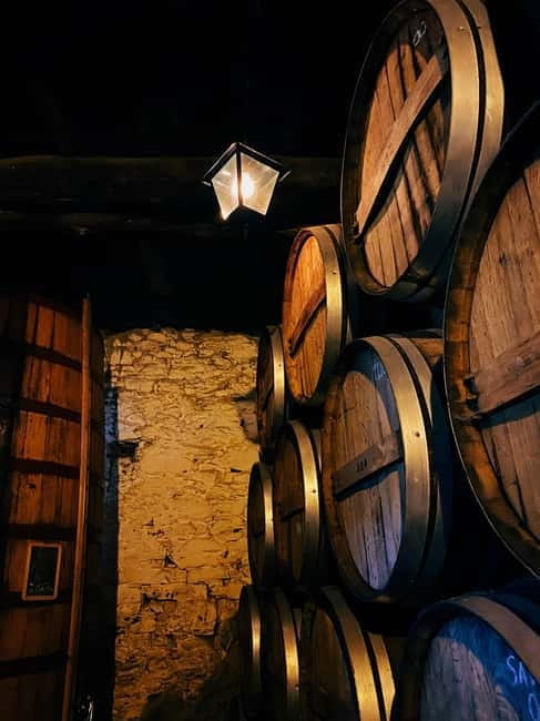 Douro Valley: PRIVATE TOURS with 1 Wine Tasting - Starting Point: Porto’s Charm and Convenience