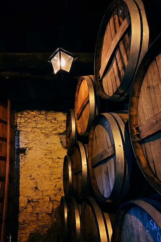 Douro Valley: PRIVATE TOURS with 1 Wine Tasting - Return to Porto: Comfortable and Punctual