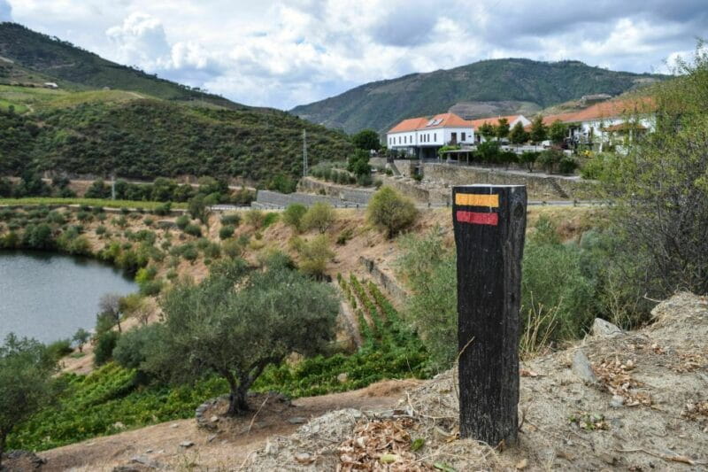 Douro Valley: Quinta do Tedo Wine Experience with Picnic - FAQs